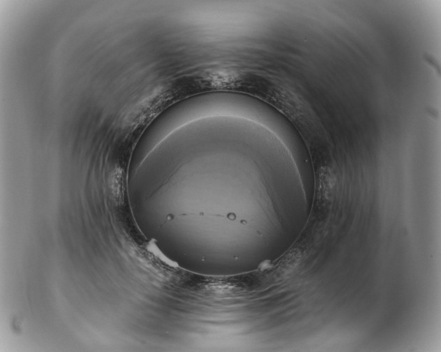 X0000102840650200808251157