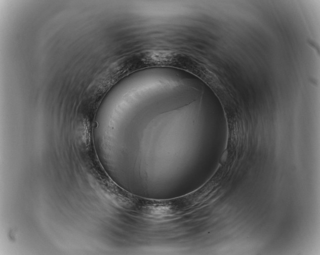 X0000102840651200808251157