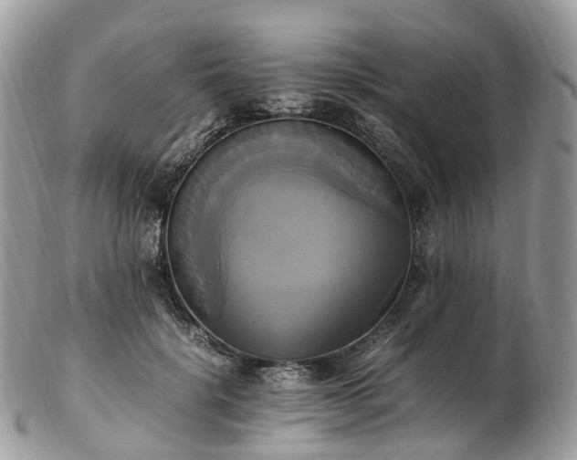 X0000102840652200808251157