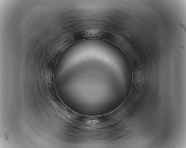 X0000102840653200808251157