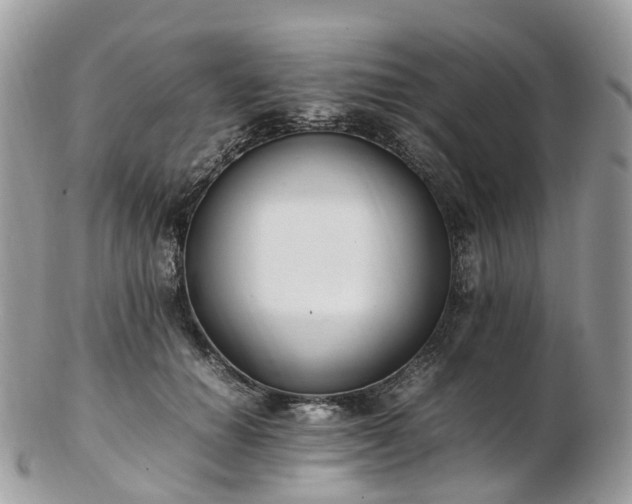 X0000102840654200808251157