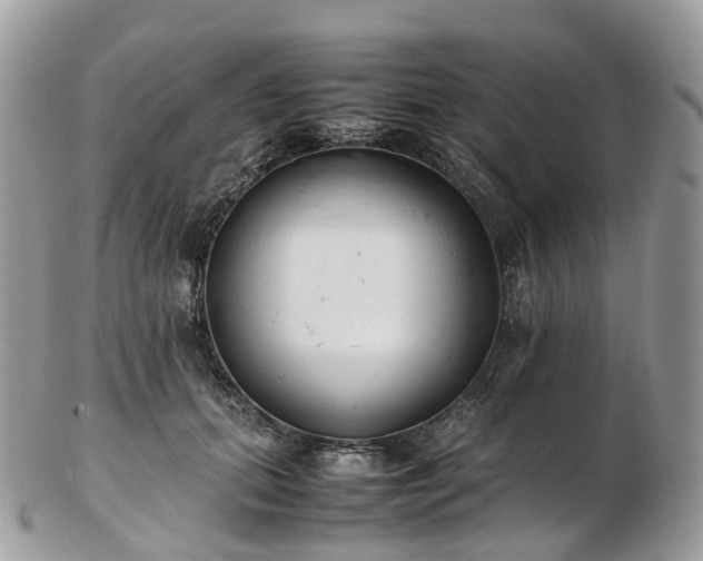 X0000102840655200808251157