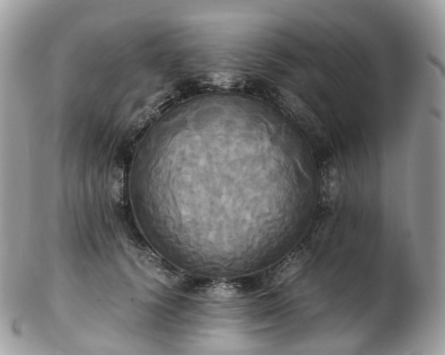 X0000102840656200808251157