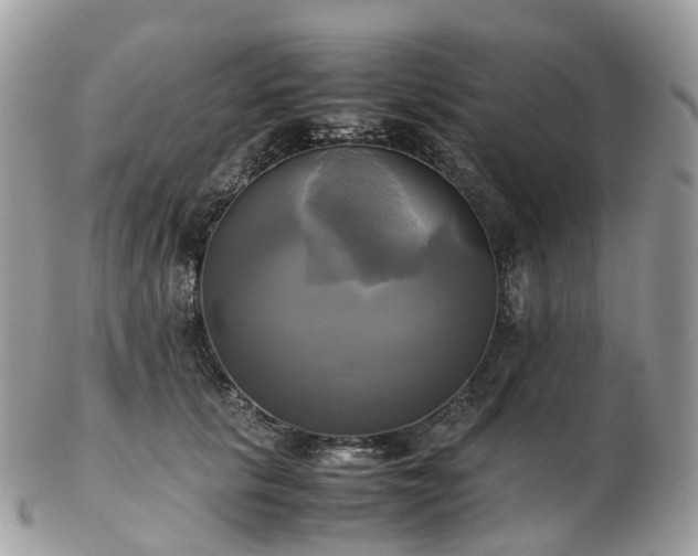 X0000102840657200808251157