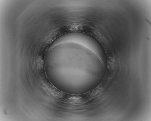 X0000102840659200808251157