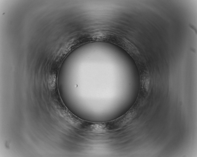 X0000102840660200808251157