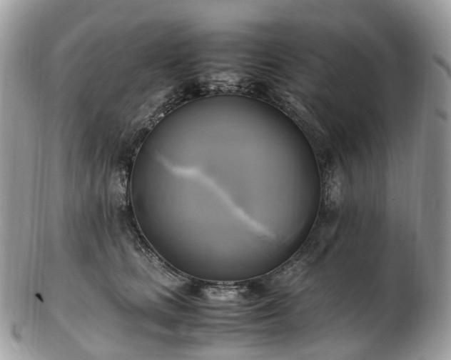 X0000102840661200808251157