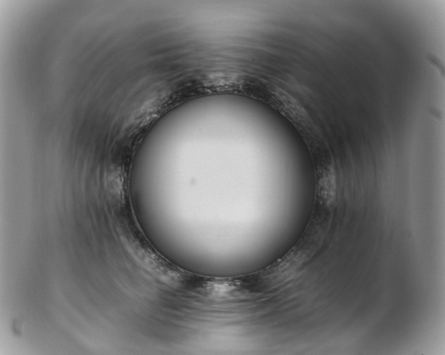 X0000102840662200808251157