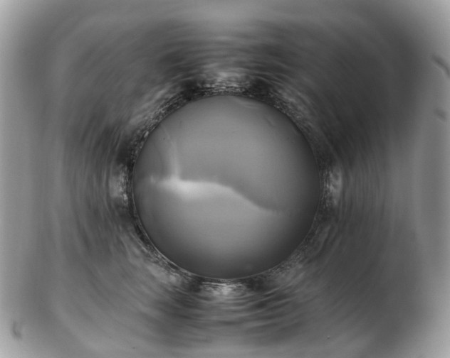 X0000102840663200808251157