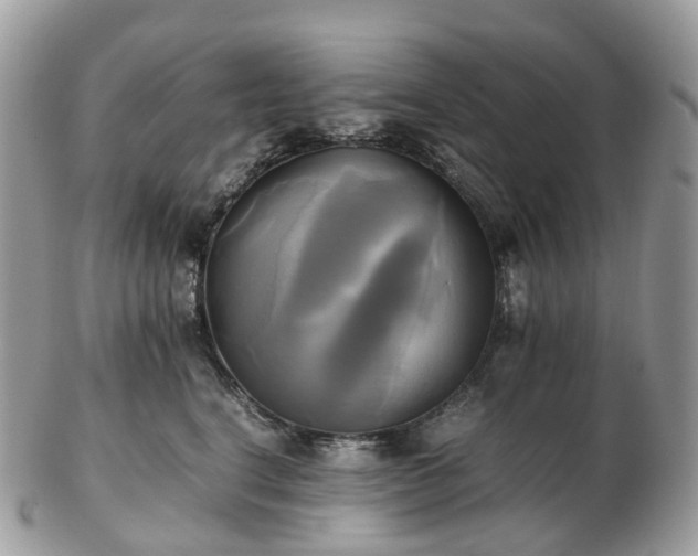 X0000102840664200808251157