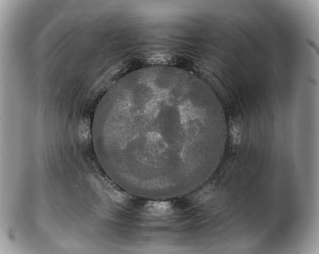 X0000102840665200808251157