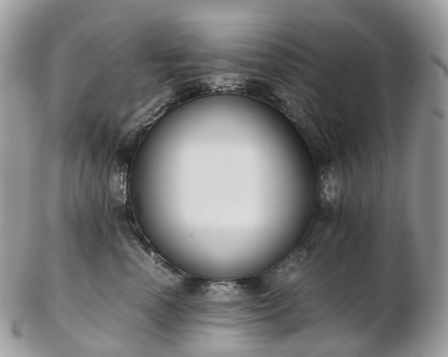 X0000102840666200808251157