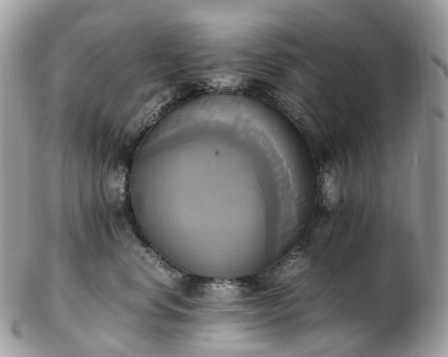 X0000102840668200808251157