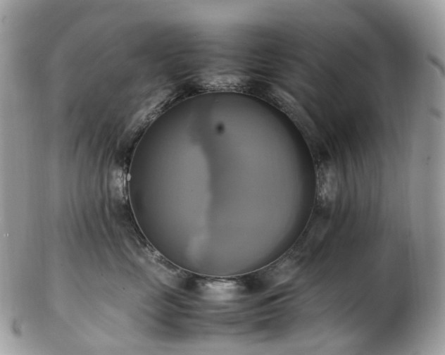 X0000102840669200808251157