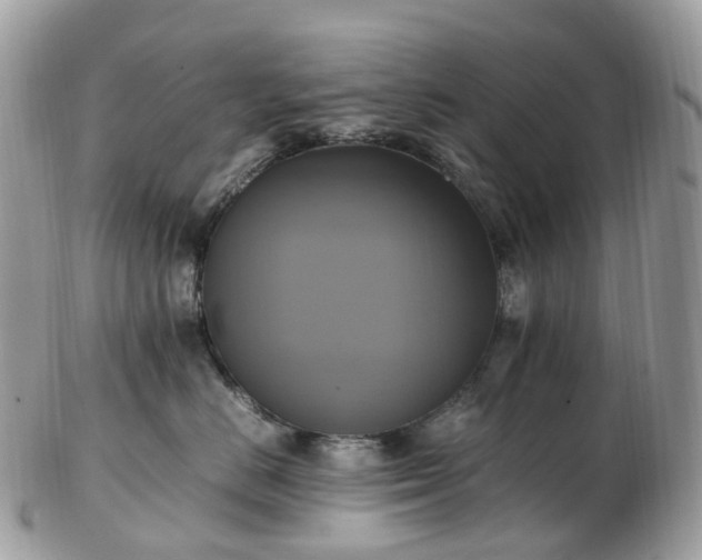 X0000102840670200808251157