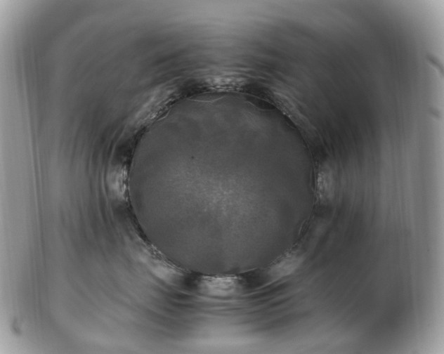 X0000102840671200808251157