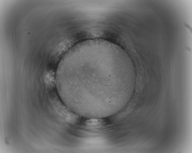 X0000102840672200808251157