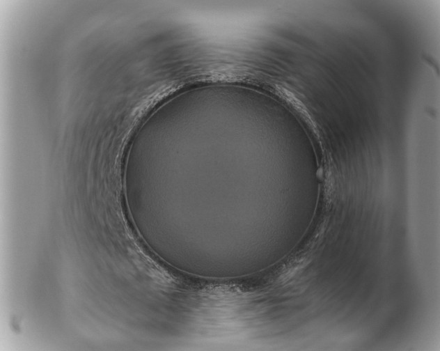 X0000102840673200808251156