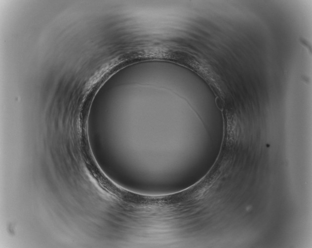 X0000102840674200808251156