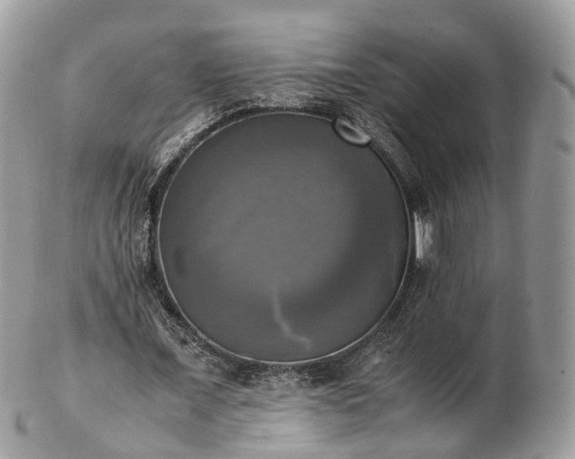 X0000102840675200808251156