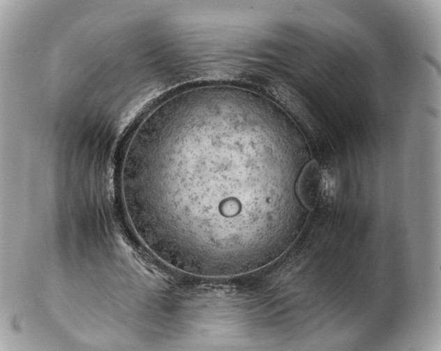 X0000102840676200808251156