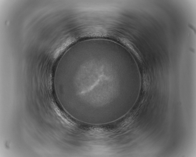 X0000102840677200808251156