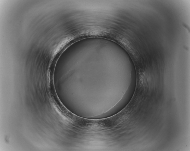 X0000102840678200808251156