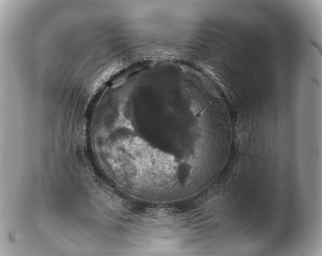 X0000102840679200808251156