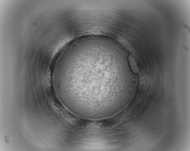 X0000102840680200808251156