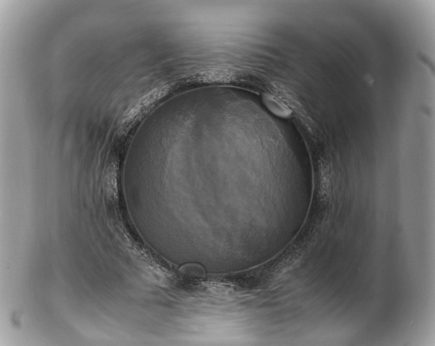 X0000102840681200808251156