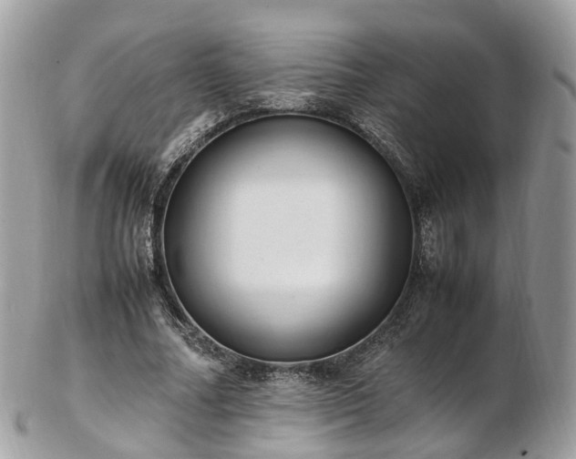 X0000102840682200808251156