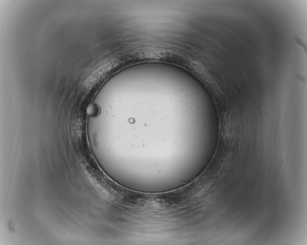 X0000102840683200808251156