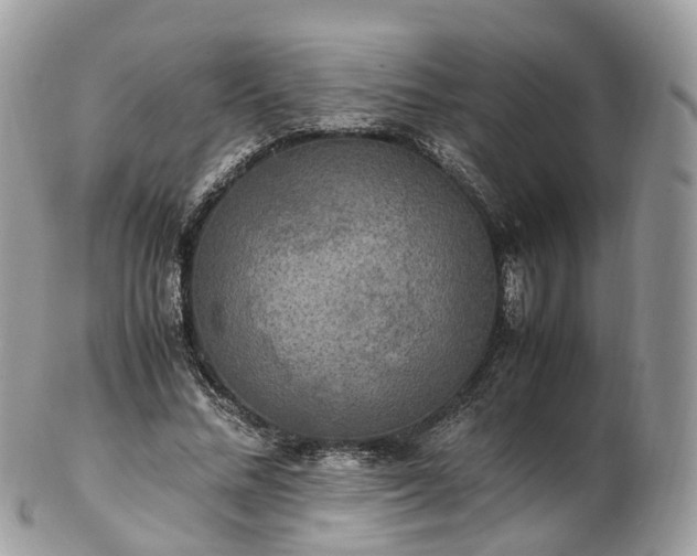 X0000102840684200808251156