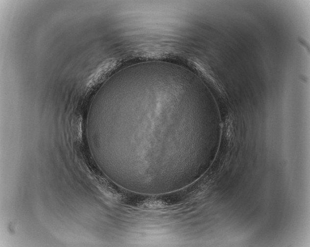 X0000102840685200808251156