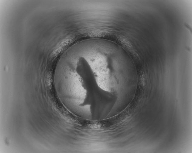 X0000102840687200808251156