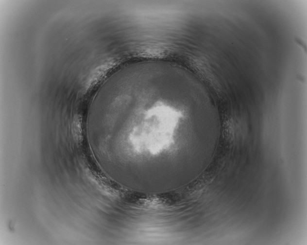 X0000102840688200808251156