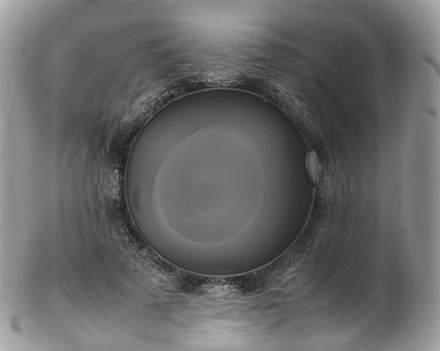 X0000102840689200808251156