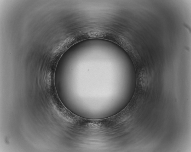 X0000102840690200808251156