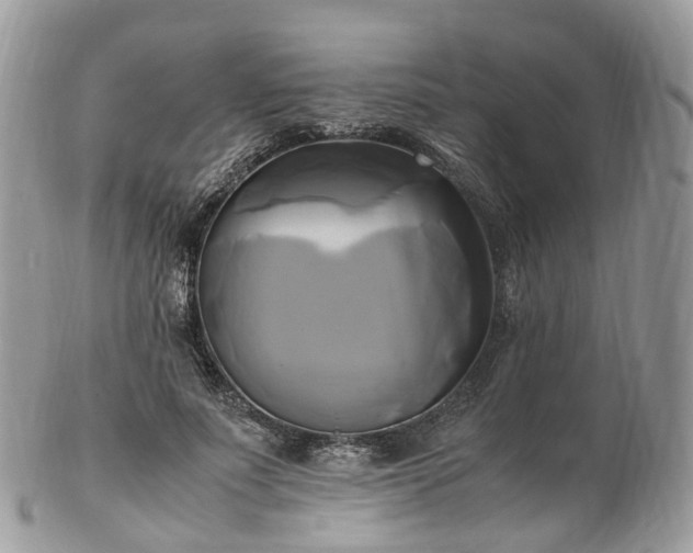 X0000102840691200808251156