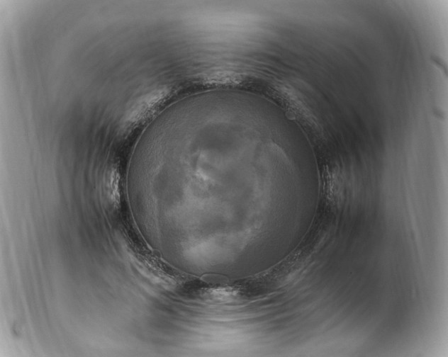 X0000102840692200808251156