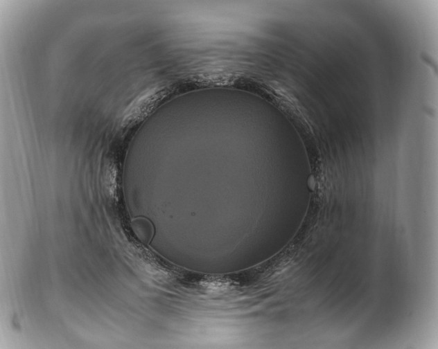 X0000102840693200808251156