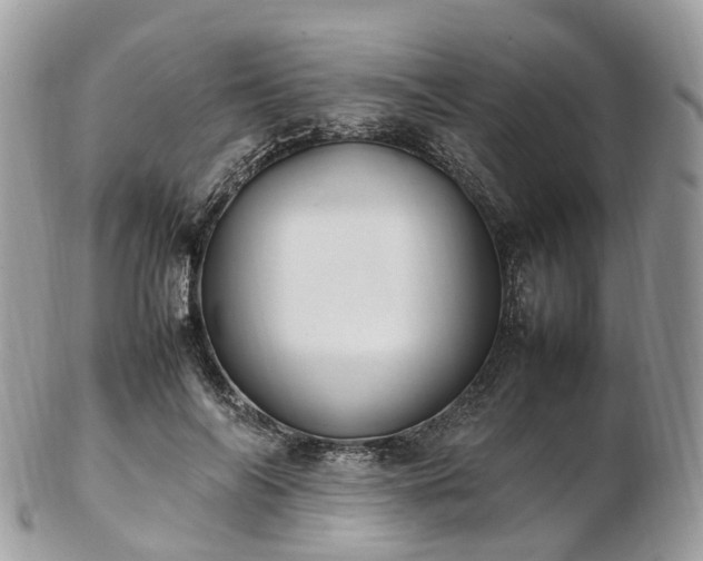 X0000102840694200808251156