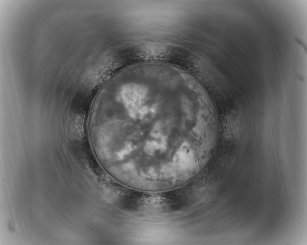 X0000102840695200808251156