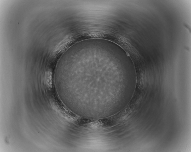 X0000102840696200808251156