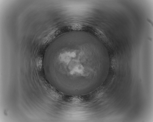 X0000102840697200808251156