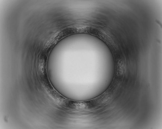 X0000102840698200808251156