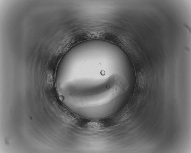 X0000102840699200808251156