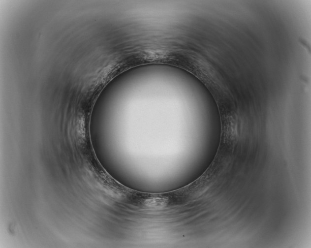 X0000102840700200808251156