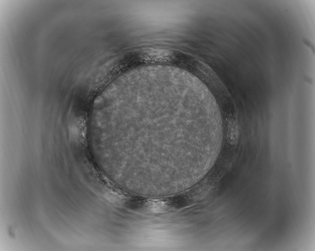 X0000102840701200808251156