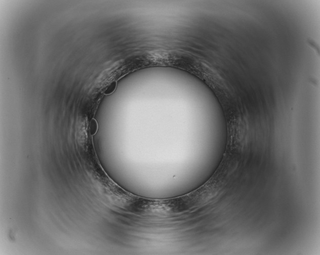 X0000102840702200808251156